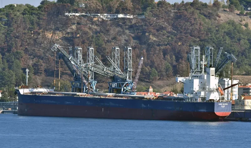 IONIC KLEOS Bulk Carrier IMO 9470507 photo 3