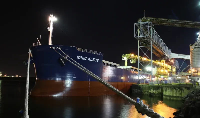 IONIC KLEOS Bulk Carrier IMO 9470507 photo 8