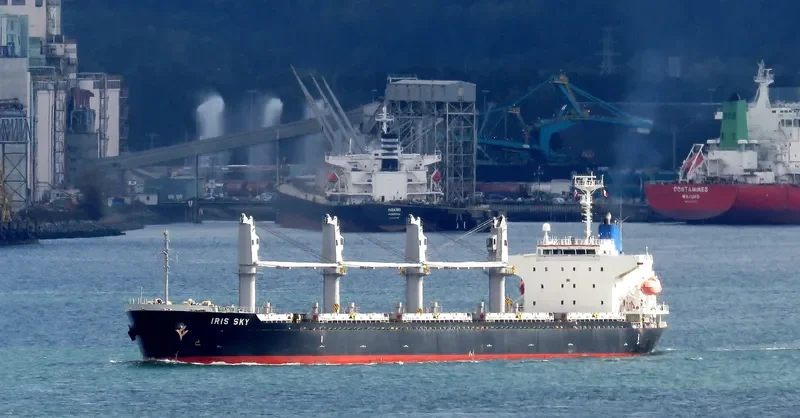 IRIS SKY Bulk Carrier IMO 9470777 photo 3
