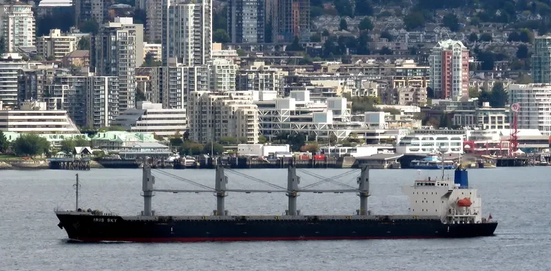 IRIS SKY Bulk Carrier IMO 9470777 photo 4