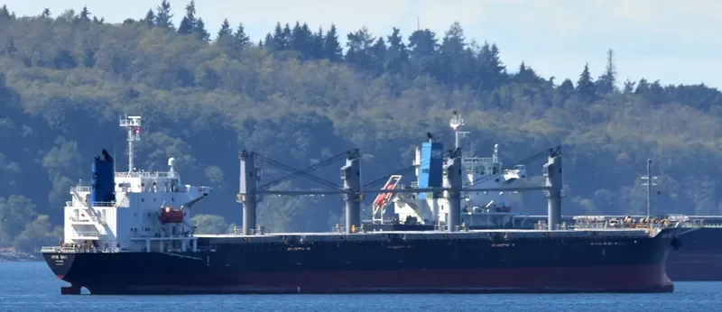 IRIS SKY Bulk Carrier IMO 9470777 photo 5