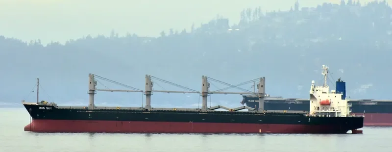 IRIS SKY Bulk Carrier IMO 9470777 photo 6