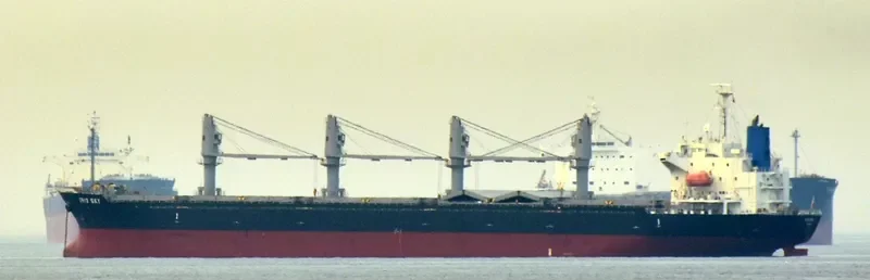 IRIS SKY Bulk Carrier IMO 9470777 photo 7