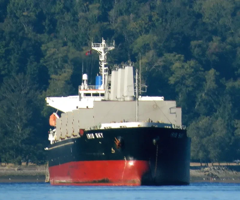 IRIS SKY Bulk Carrier IMO 9470777 photo 9