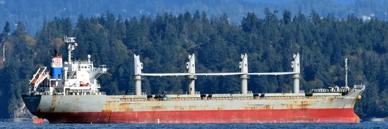 TRUE HARMONY Bulk Carrier IMO 9470789 photo 3