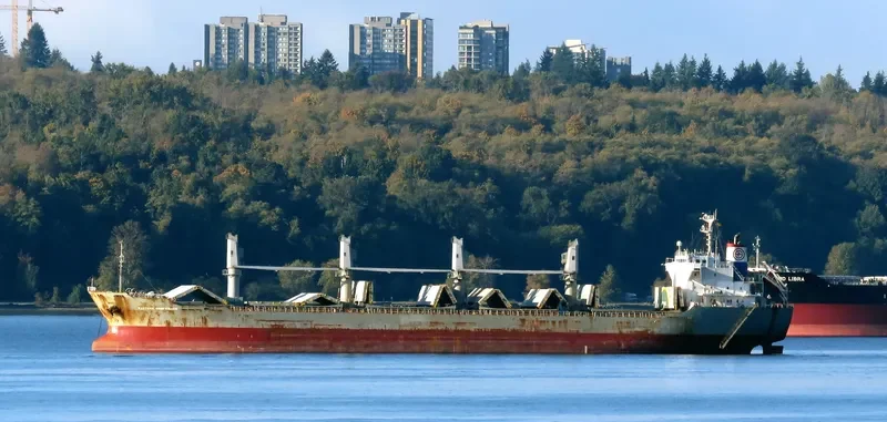 TRUE HARMONY Bulk Carrier IMO 9470789 photo 6