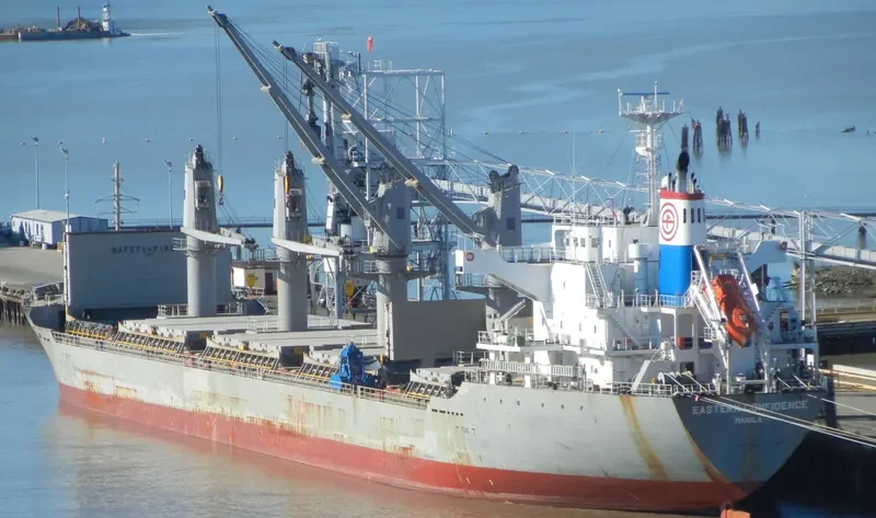 TRUE HARMONY Bulk Carrier IMO 9470789 photo 7