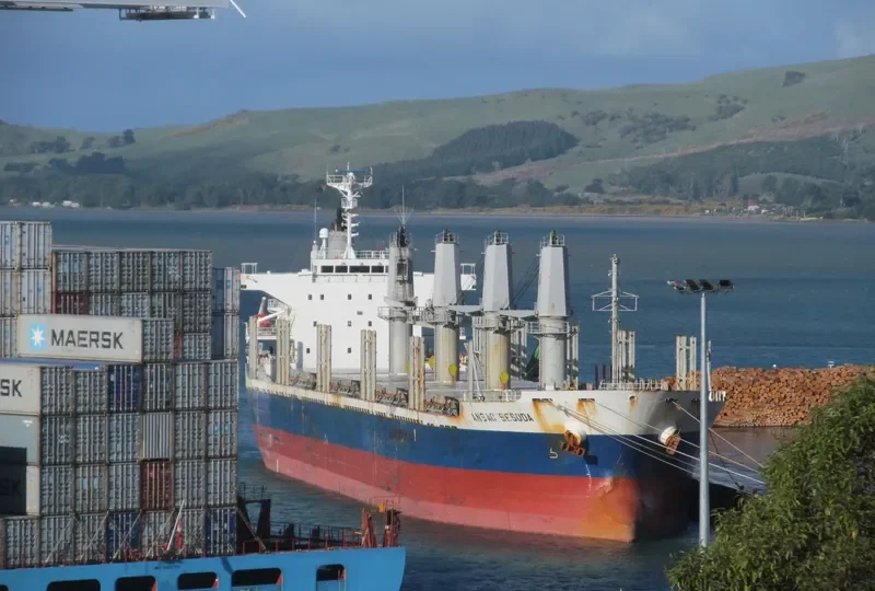 AC SESODA Bulk Carrier IMO 9470791 photo 3