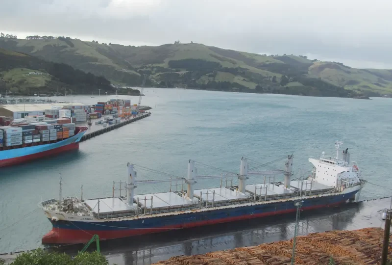 AC SESODA Bulk Carrier IMO 9470791 photo 4