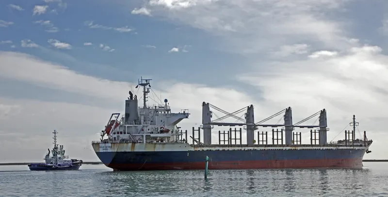 AC SESODA Bulk Carrier IMO 9470791 photo 5