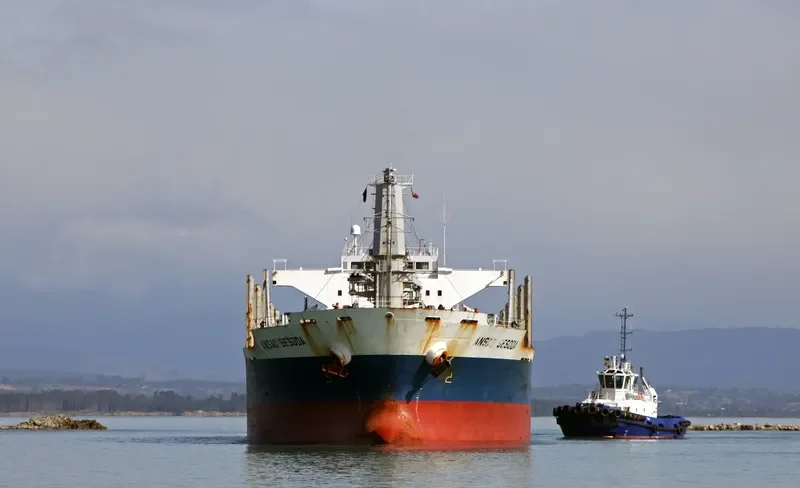 AC SESODA Bulk Carrier IMO 9470791 photo 8