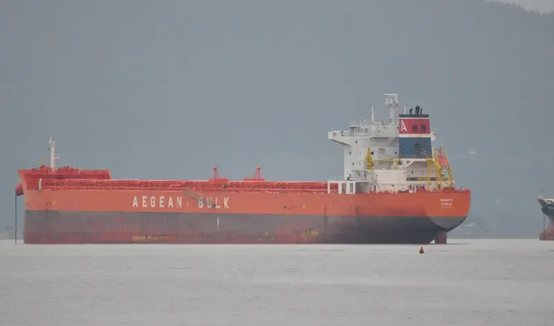 INFINITY Bulk Carrier IMO 9471264 photo 9