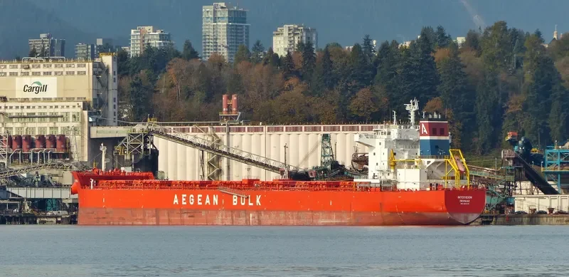 INTUITION Bulk Carrier IMO 9471276 photo 8