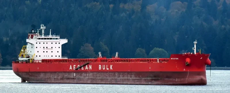 INTUITION Bulk Carrier IMO 9471276 photo 9