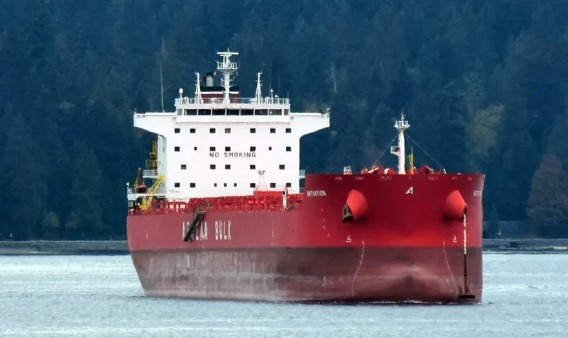 INTUITION Bulk Carrier IMO 9471276 photo 10