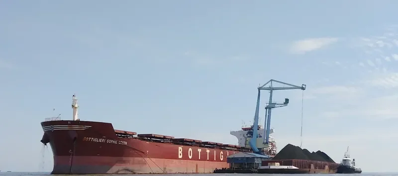 BOTTIGLIERI SOPHIE GREEN Bulk Carrier IMO 9471630