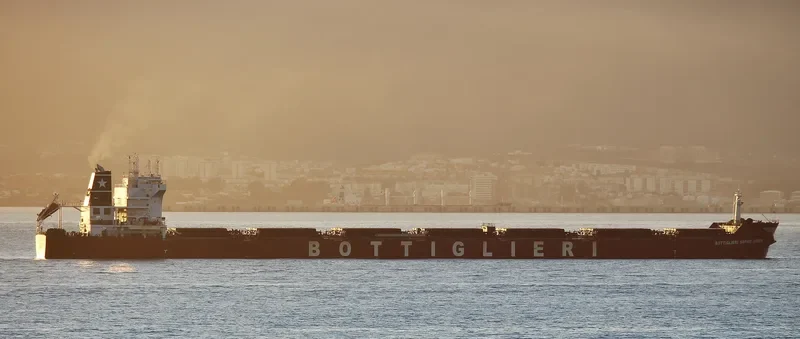 BOTTIGLIERI SOPHIE GREEN Bulk Carrier IMO 9471630 photo 2
