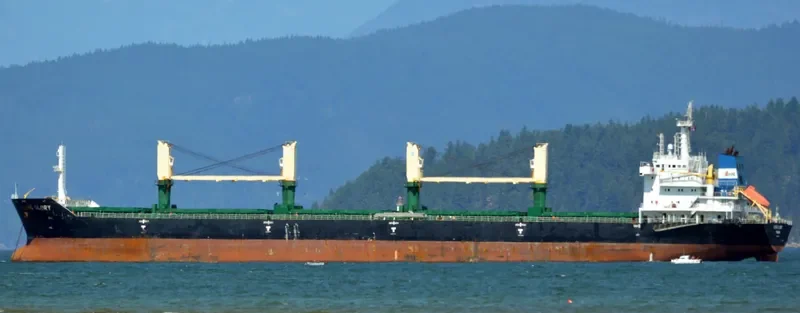 M CONFIDANTE Bulk Carrier IMO 9471666 photo 8