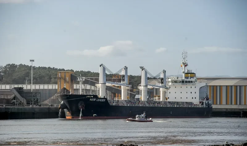 NEW LEADER Bulk Carrier IMO 9471795 photo 8