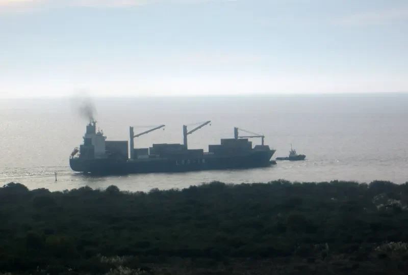 LOG IN JACARANDA Container Ship IMO 9471886 photo 3