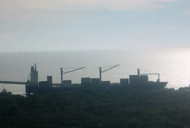 LOG IN JACARANDA Container Ship IMO 9471886 photo 4