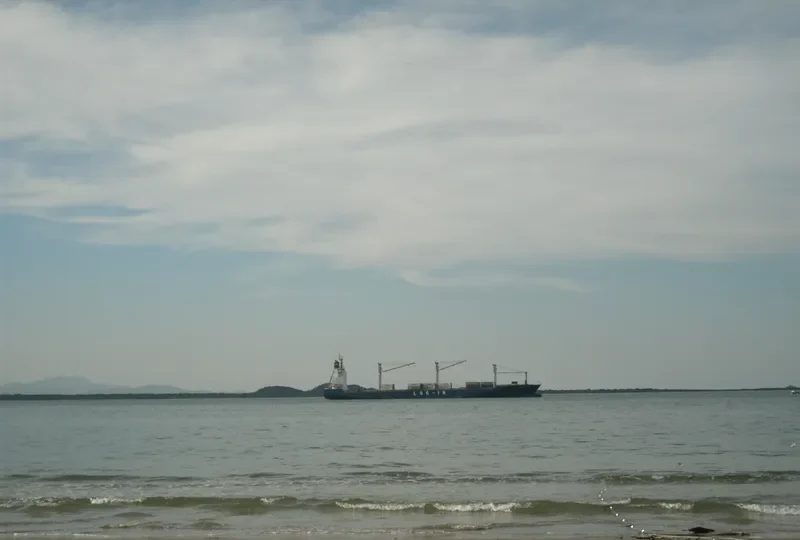 LOG IN JATOBA Container Ship IMO 9471898 photo 6