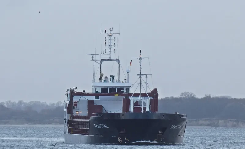 TRAVETAL General Cargo IMO 9471991 photo 6