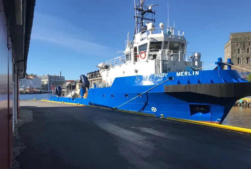 FROY MERLIN General Cargo IMO 9472232 photo 3