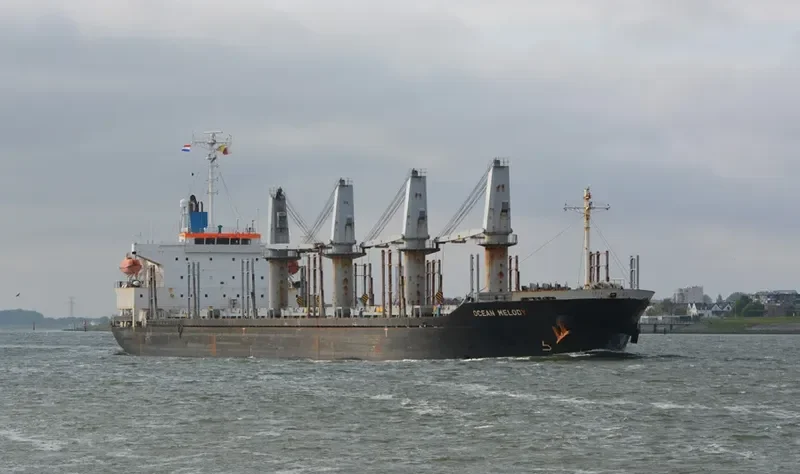 VENTO GRECALE Bulk Carrier IMO 9472701