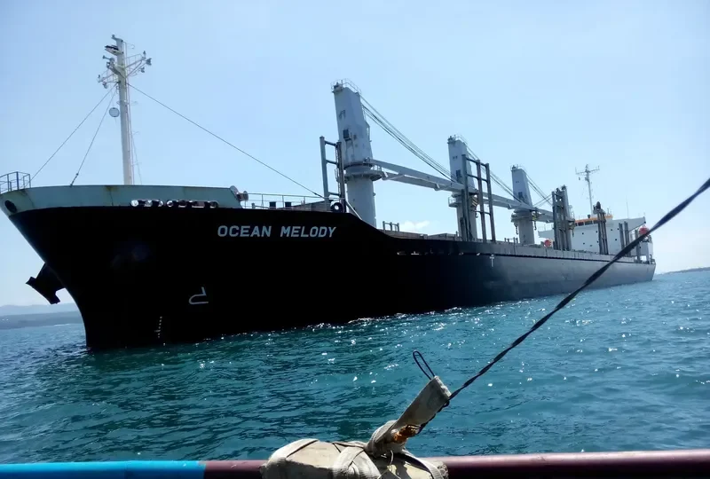 VENTO GRECALE Bulk Carrier IMO 9472701 photo 2