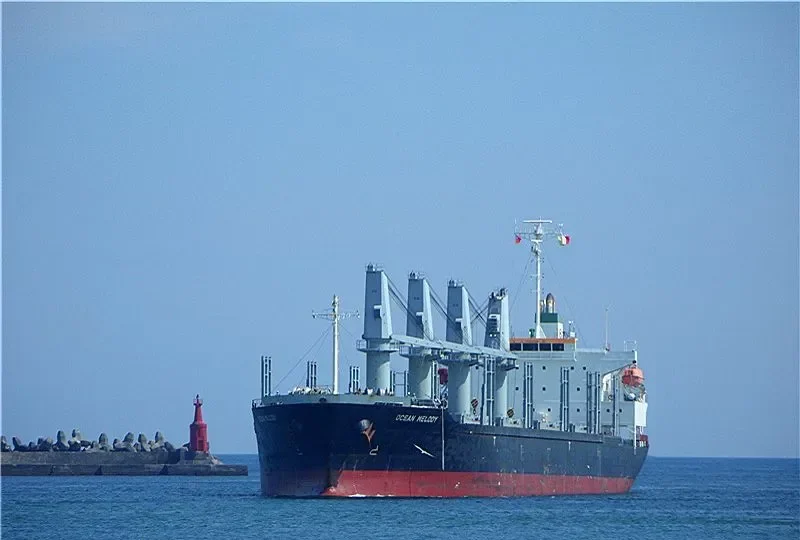 VENTO GRECALE Bulk Carrier IMO 9472701 photo 9