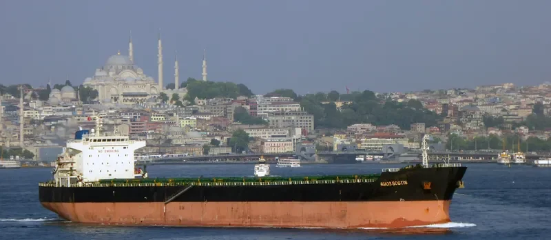 AGIOS SOSTIS Bulk Carrier IMO 9473133 photo 3