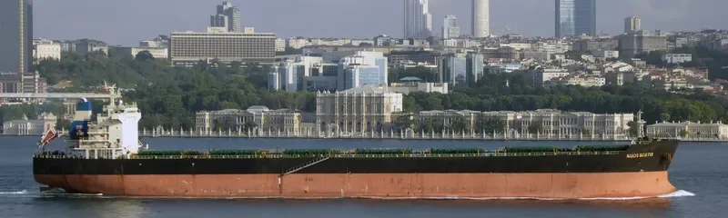 AGIOS SOSTIS Bulk Carrier IMO 9473133 photo 4