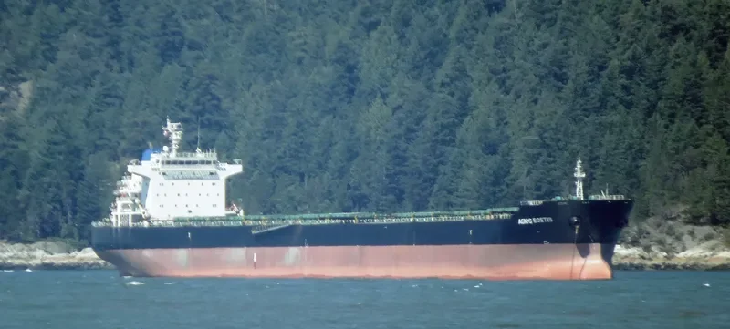 AGIOS SOSTIS Bulk Carrier IMO 9473133 photo 6