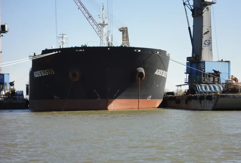 AGIOS SOSTIS Bulk Carrier IMO 9473133 photo 7