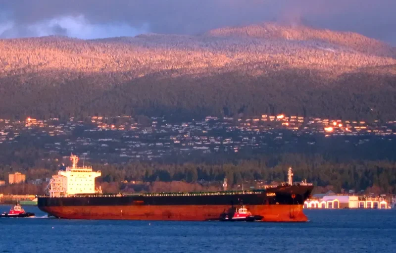 SAMOA Bulk Carrier IMO 9473157 photo 7