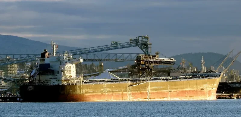 SAMOA Bulk Carrier IMO 9473157 photo 10