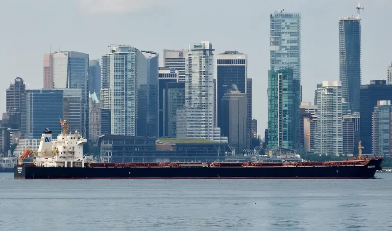 SELINA Bulk Carrier IMO 9473183