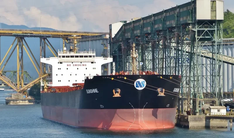 SELINA Bulk Carrier IMO 9473183 photo 3