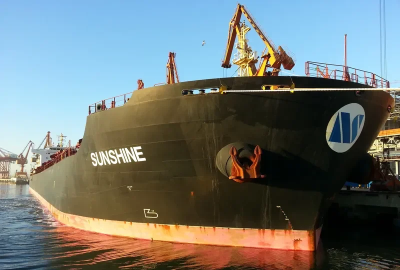 SELINA Bulk Carrier IMO 9473183 photo 6
