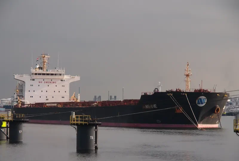 SELINA Bulk Carrier IMO 9473183 photo 10