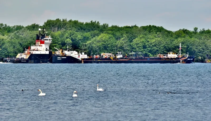 LEO A.MCARTHUR General Cargo IMO 9473262 photo 5