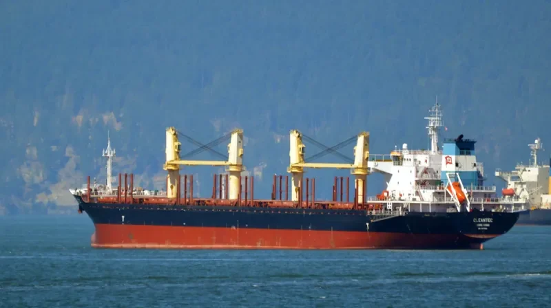 CLEANTEC Bulk Carrier IMO 9473418 photo 9