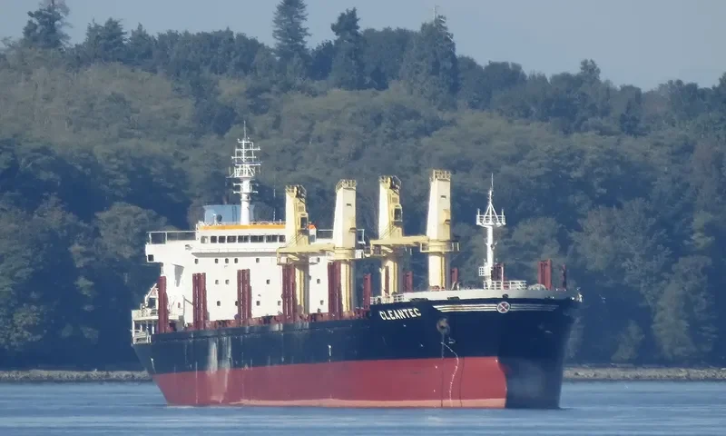 CLEANTEC Bulk Carrier IMO 9473418 photo 10