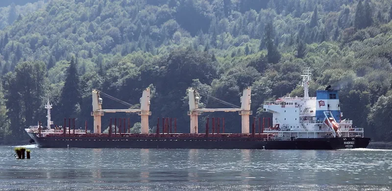RIVERTEC Bulk Carrier IMO 9473420 photo 8