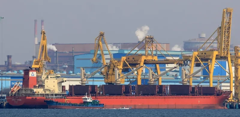 MAPLE FORTUNE Bulk Carrier IMO 9473432