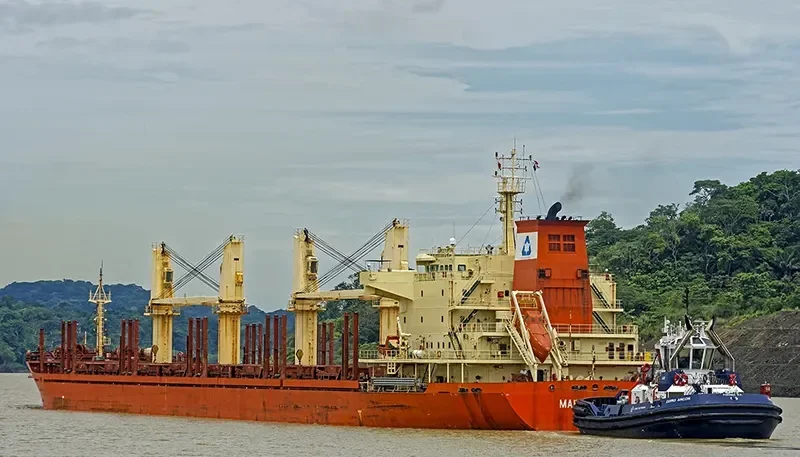 MAPLE FORTUNE Bulk Carrier IMO 9473432 photo 4