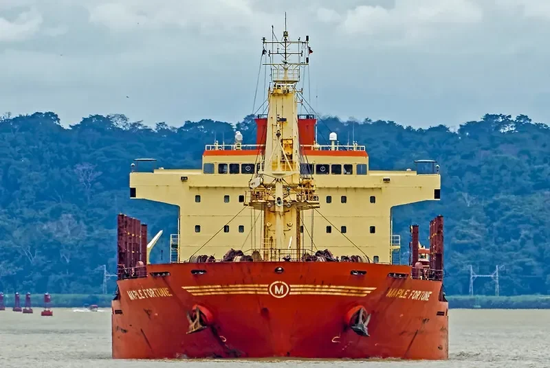 MAPLE FORTUNE Bulk Carrier IMO 9473432 photo 6