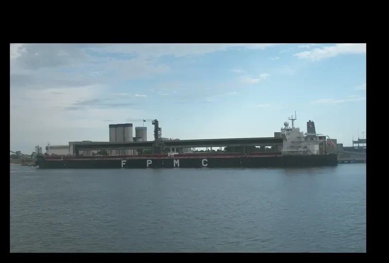 FPMC B 104 Bulk Carrier IMO 9473509 photo 6