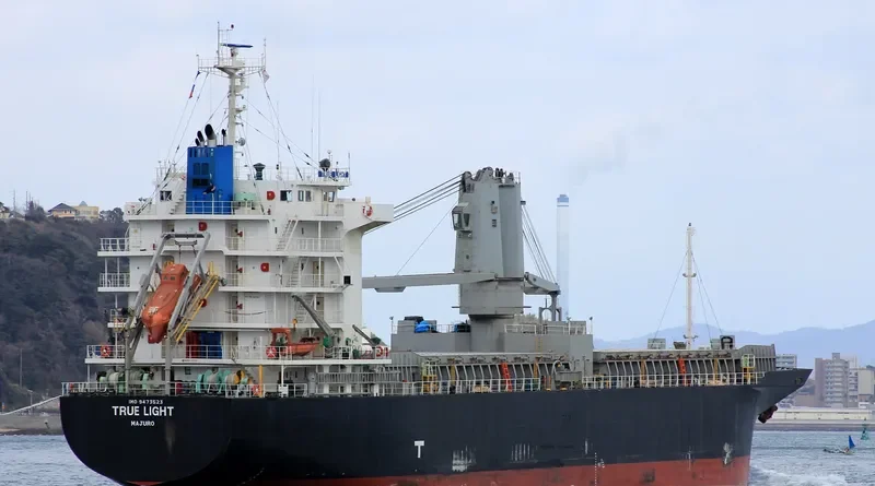 DS FAVOUR General Cargo IMO 9473523 photo 9